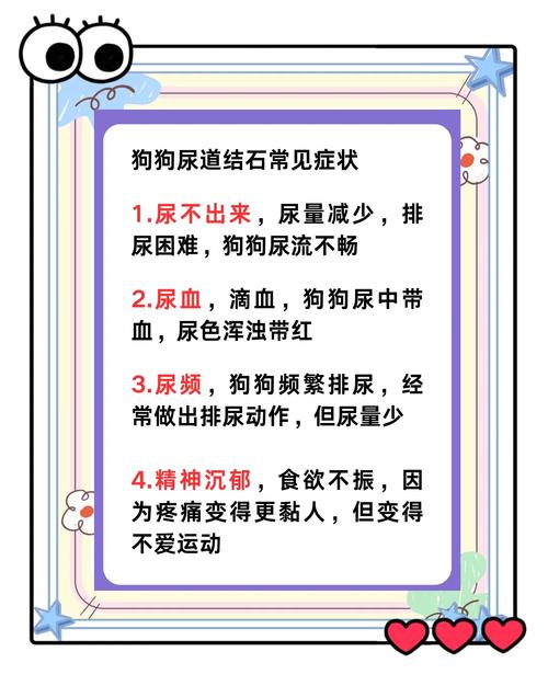 狗狗尿结石的症状与治疗