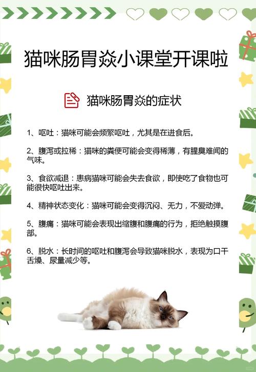 猫结肠炎的治疗方法有哪些?