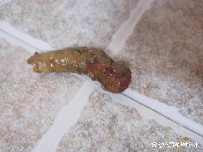 狗狗便血是怎么回事