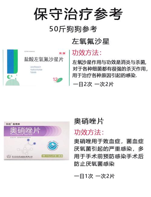 狗狗伤口发炎用什么药