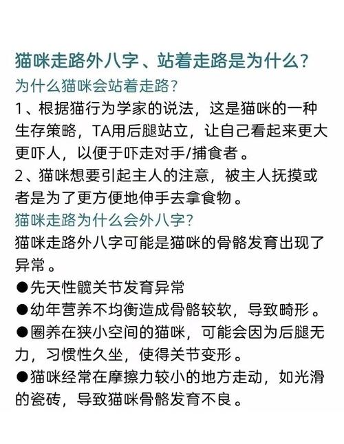 猫走路外八字的原因