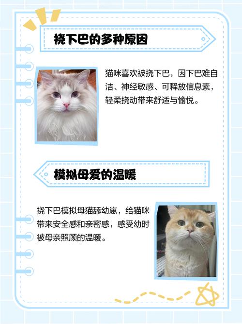 猫咪挠自己的下巴是什么情况?