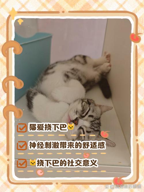 猫为什么总爱挠下巴