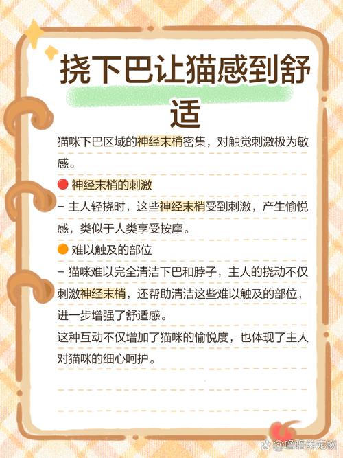 猫为什么喜欢被人抓下巴?