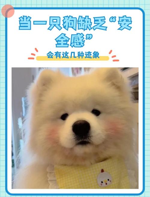 狗狗缺乏安全感的现象