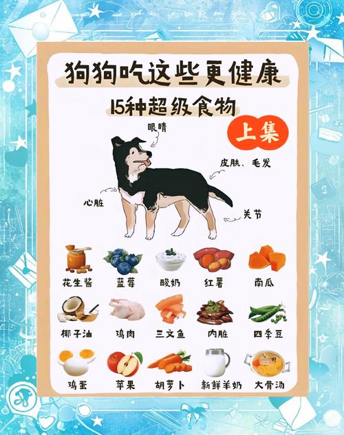 狗吃什么鱼不卡喉咙