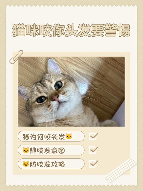猫咪为何攻击头发