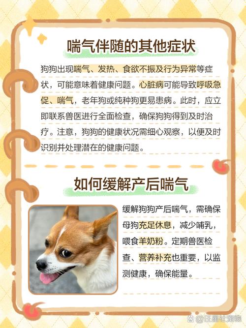 狗狗为什么会产后热