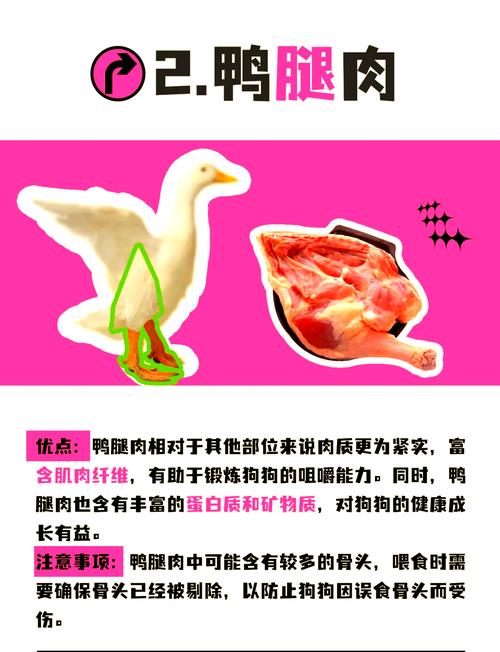 柴犬能不能吃鹅肉