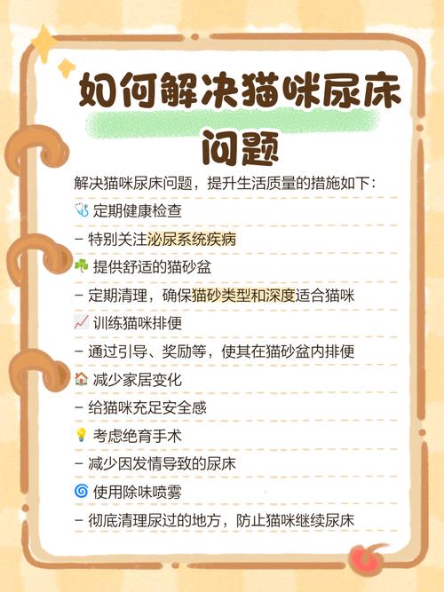 最有效制止猫尿床上的办法