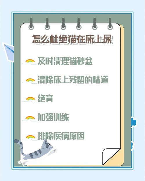 猫咪在床上尿的应对办法