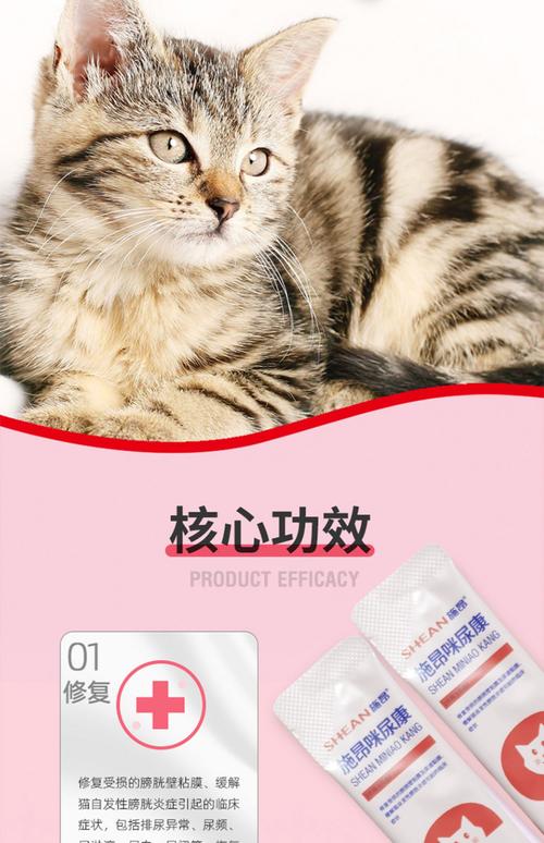 猫咪尿血导尿后吃什么药