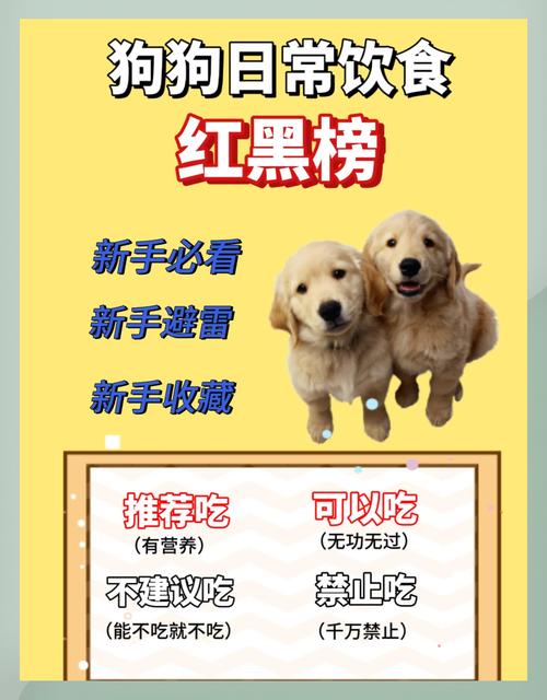 狗狗能吃鱿鱼吗