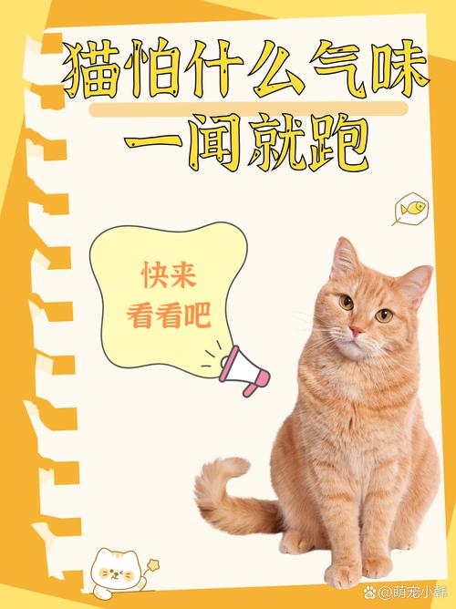 猫咪闻多久蚊香会中毒