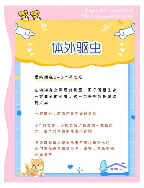 什么时候给狗狗做驱虫比较合适?