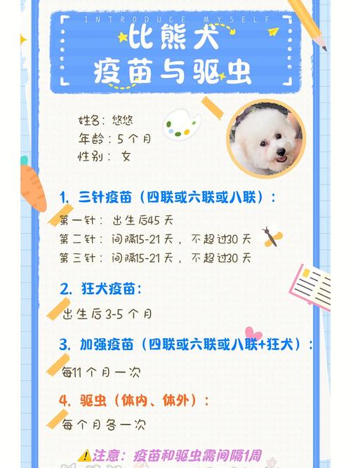 狗狗第一针疫苗多久后体内驱虫