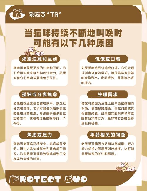 猫咪晚上为什么不会叫唤