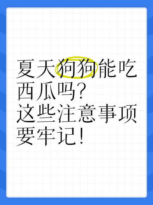 我家狗狗吃了香瓜老是舔嘴