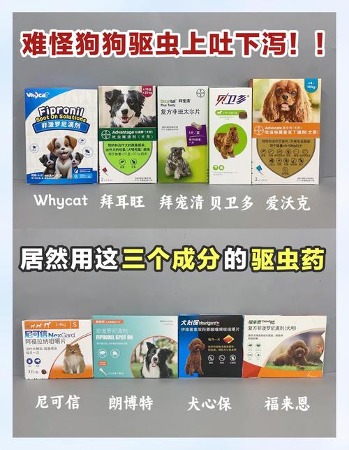 狗上吐下泻吃什么药管用啊