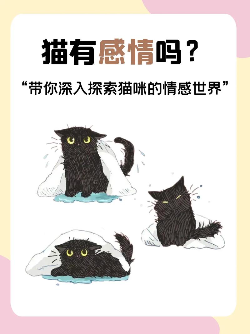 猫咪对主人有感情吗