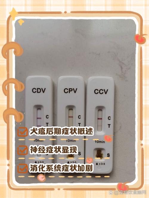 犬瘟后期临死前症状