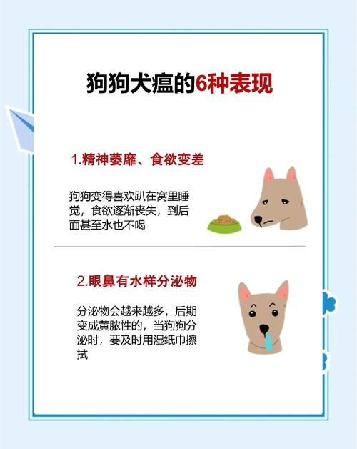 狗狗犬瘟热症状有哪些