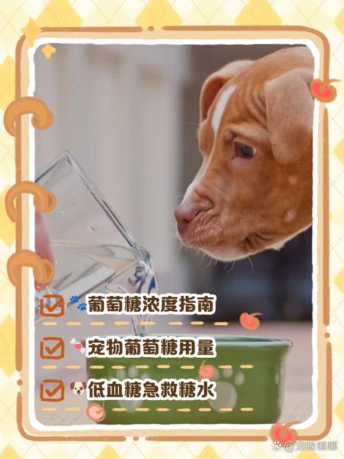 狗狗细小能给它喝点葡萄糖水吗