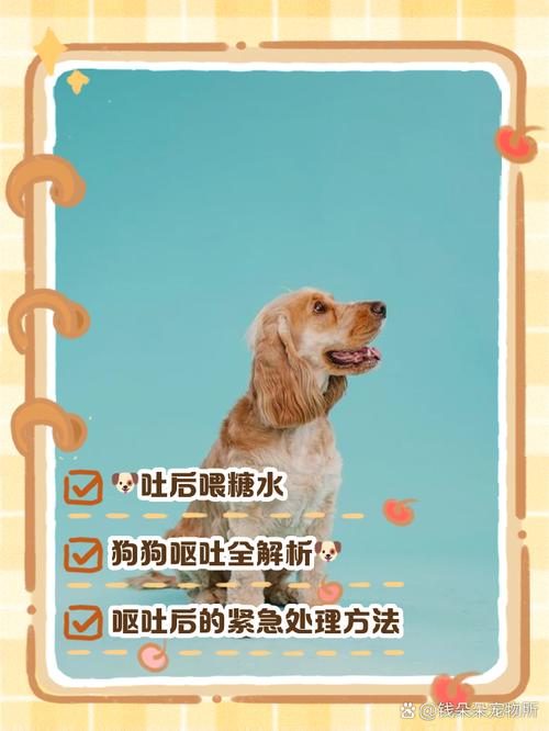 狗狗生病了,我到底是喂它喝糖水还是葡萄糖?