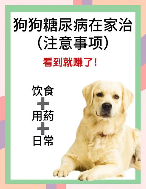 狗狗几天没吃食喝点葡萄糖一顿能让它喝几支?