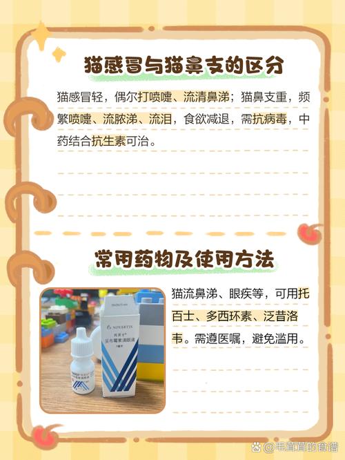 猫咪流鼻涕、打喷嚏、流眼泪是怎么回事?