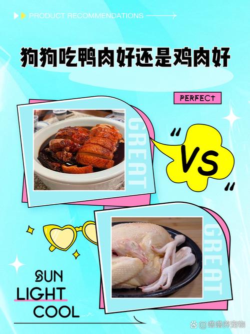 宠物狗狗吃什么肉比较好