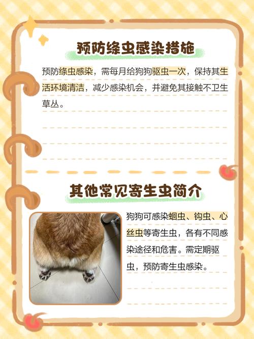 狗狗身上的寄生虫怎么去除?