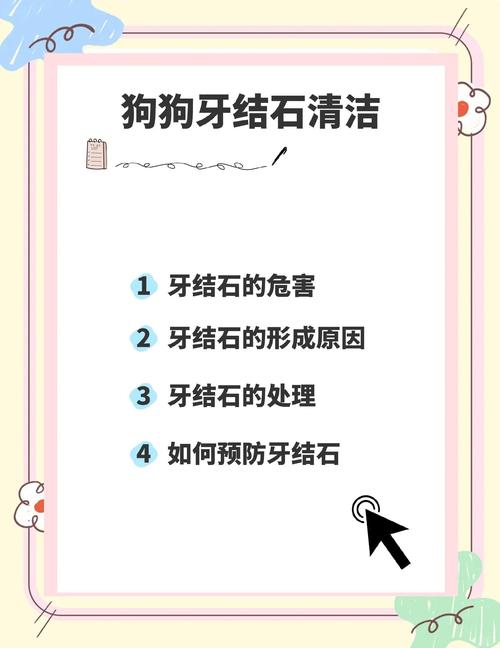狗狗去除牙结石小妙招