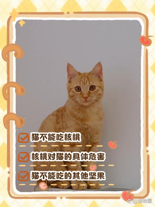猫咪不小心吃了核桃怎么办