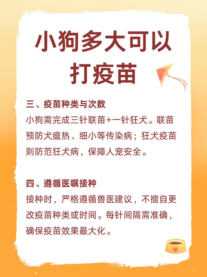 小狗45天以上可以打疫苗吗?