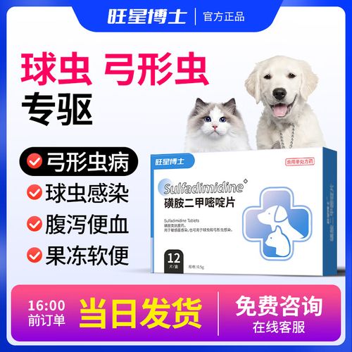 猫咪弓形虫的预防