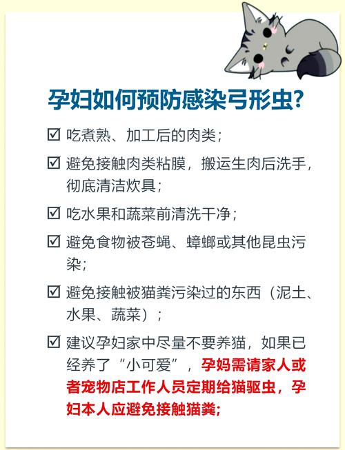 养猫怎么预防弓形虫