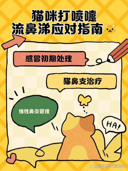 猫猫感冒会出现哪些症状?能不能吃人用感冒药呢?