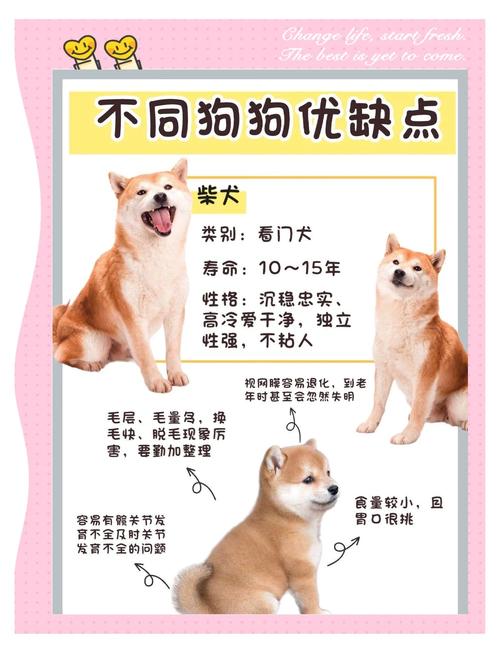 狗能看见不干净的东西吗