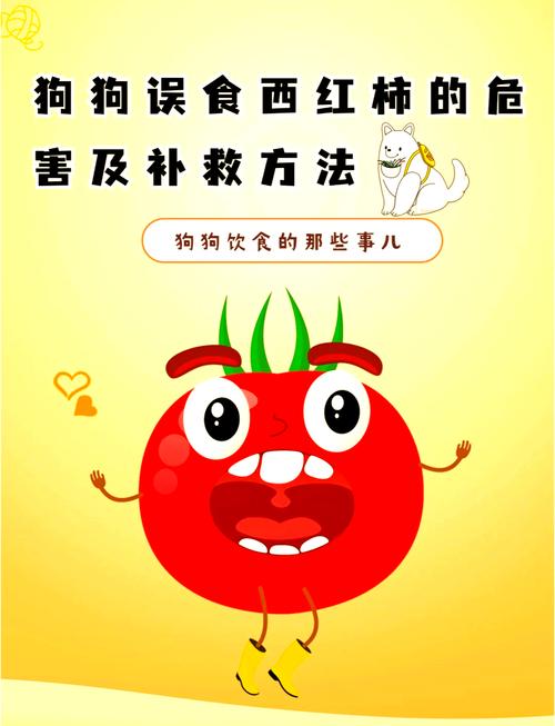 狗狗吃了柿子怎么办