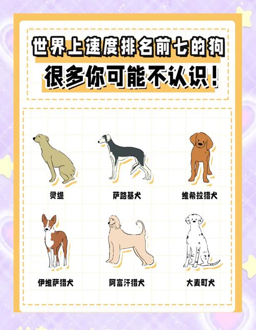 小狗最快多少天可以走路