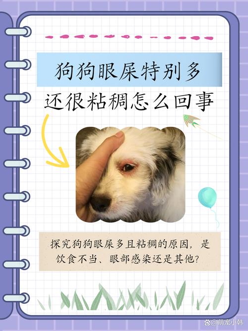 狗眼屎多就是犬瘟热吗