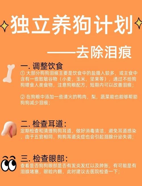 小狗眼屎多是怎么回事?