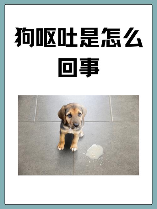 狗狗没精神无力呕吐有眼屎是什么情况?