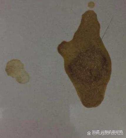 狗怀孕40多天有分泌物正常吗