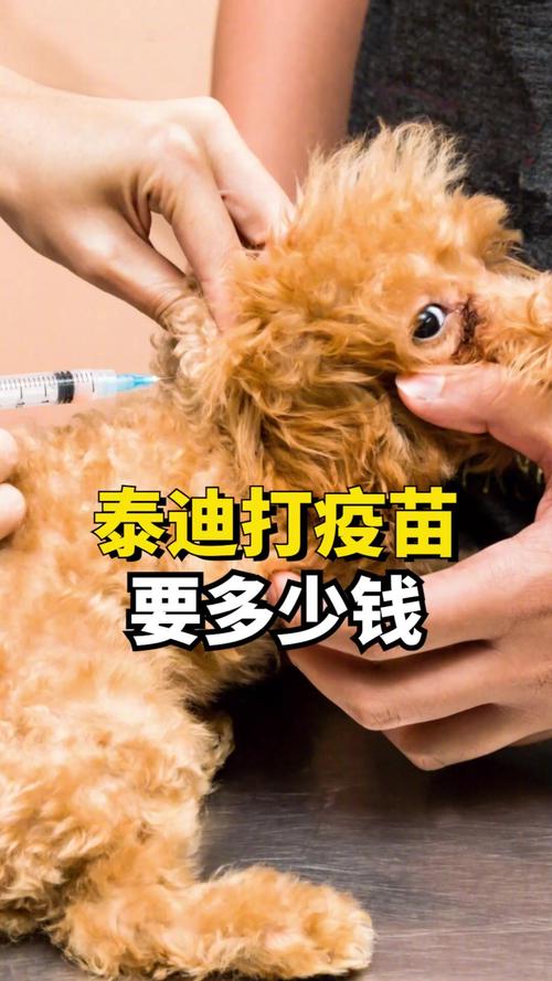 狗狗打针一般要多少钱啊?