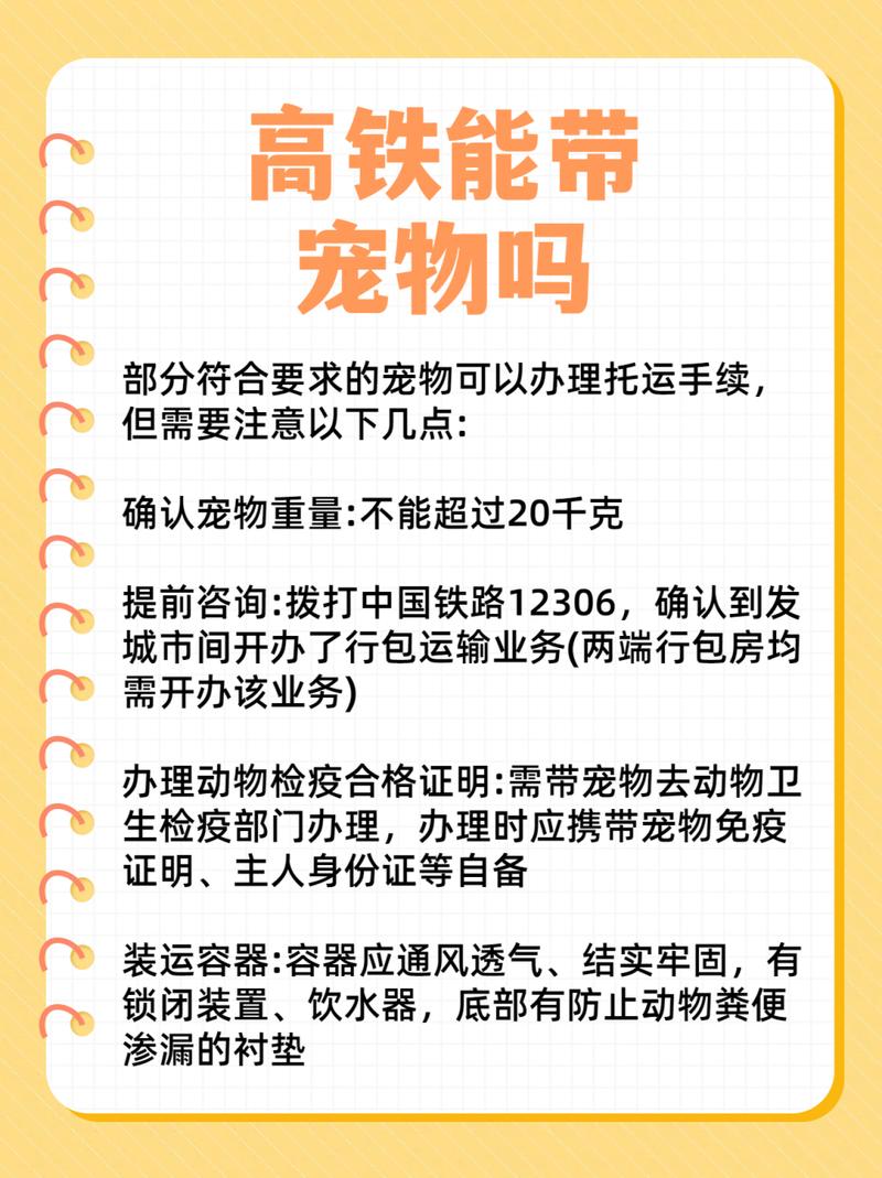 宠物猫可以带上高铁吗