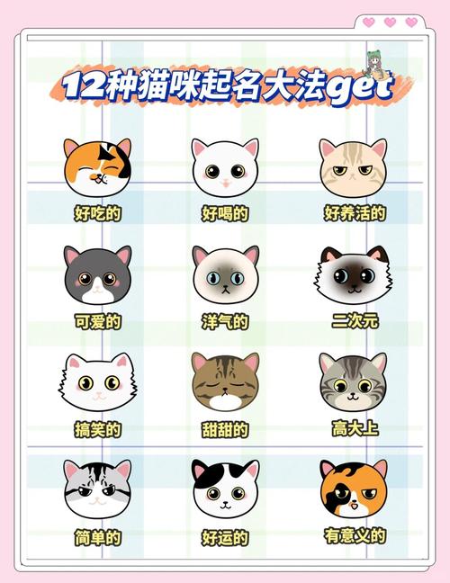 对主人很吉利吉祥的猫咪名字