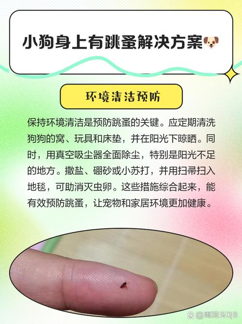 狗狗除跳蚤的简单方法