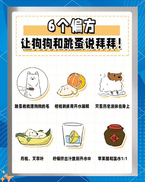 狗狗身上有跳蚤怎么治才能彻底去除